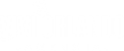 Logo Viví Orlando (Dark)